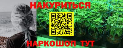 a pvp Славгород